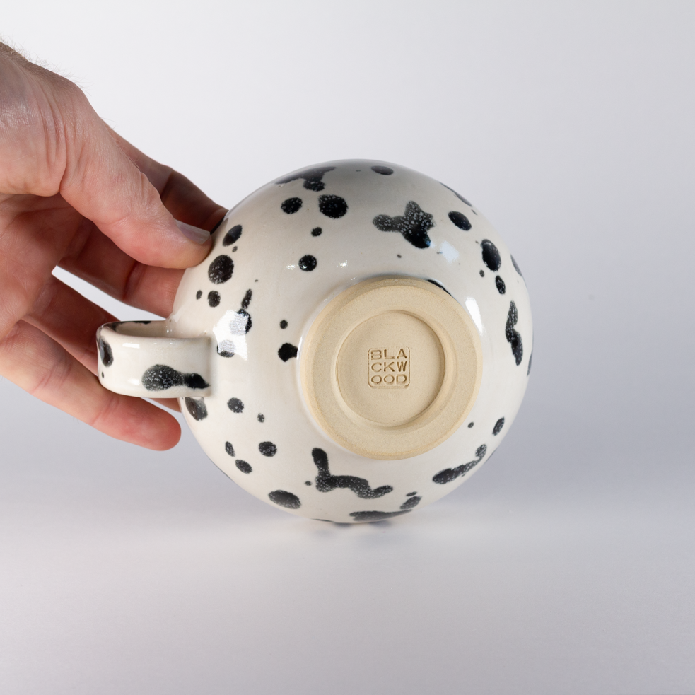 Cappuccino Cup, Dalmatian
