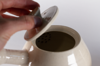 Kyusu Style Teapot Set