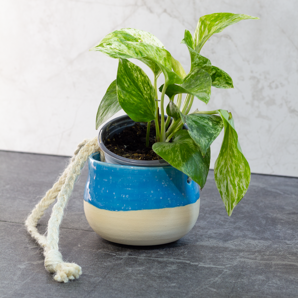 Hanging Planter, Blue with Speckles