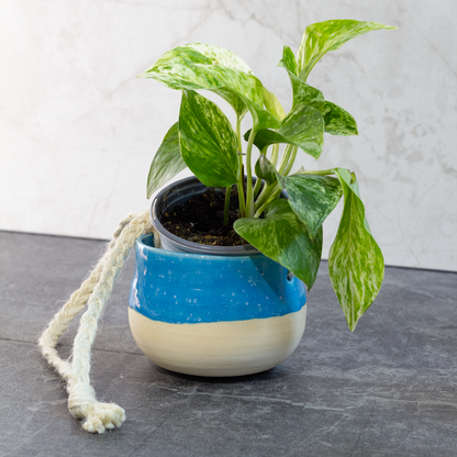 Hanging Planter, Blue with Speckles