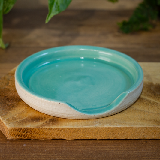 Spoon Rest, Mint